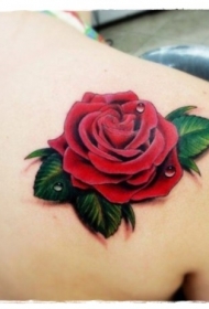 肩部美丽的3D彩色玫瑰纹身图案