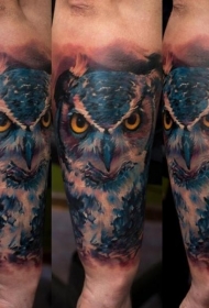 手臂彩色漂亮的猫头鹰纹身图案