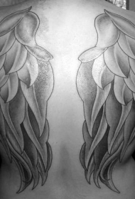 背部精美的羽毛翅膀纹身图案