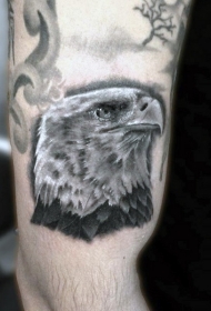 手臂超级逼真的3D鹰头纹身图案