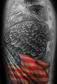 手臂鹰和彩色美国国旗纹身图案