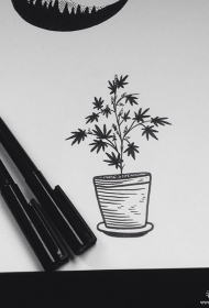 小清新植物盆栽点刺纹身图案手稿