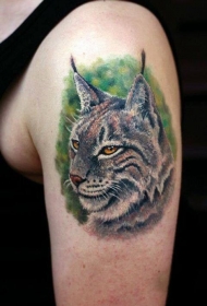 手臂3D逼真的彩色野猫纹身图案