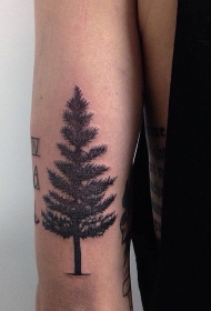 手臂精确的黑色小云杉树纹身图案