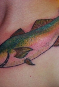 肩部好看的彩色鱼纹身图案