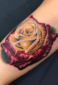手臂非常惊人的3D彩色玫瑰纹身图案