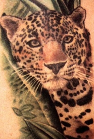 漂亮的彩色豹头纹身图案