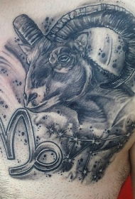 胸部3D黑白山羊头和符号纹身图案