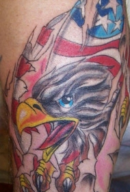 美国国旗和鹰撕皮彩色纹身图案