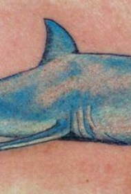 蓝色的鲨鱼个性纹身图案