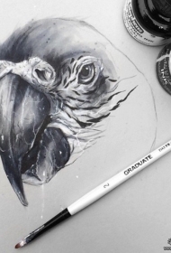 欧美鹦鹉头像黑灰纹身图案手稿