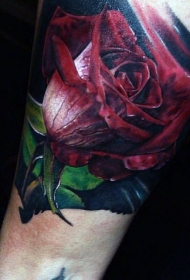 非常壮观逼真的彩色玫瑰花手臂纹身图案