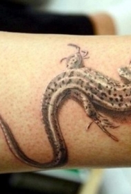 非常逼真的写实风格彩色小蜥蜴脚踝纹身图案