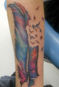 手臂彩色的羽毛小鸟纹身图案