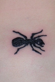 小小的简单黑色蚂蚁脖子纹身图案