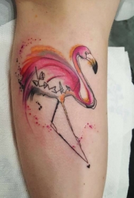 手臂彩色的火烈鸟与神秘符号纹身图案