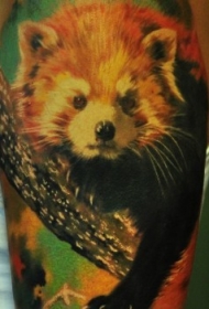 写实的小熊猫彩绘手臂纹身图案