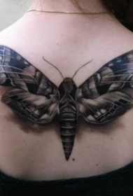 女孩背部灰色的飞蛾3D纹身图案