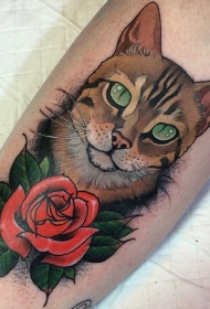 手臂彩色的猫头像和红玫瑰纹身图案