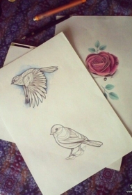 欧美school鸟玫瑰纹身图案手稿