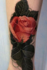 小腿惊人的3D自然彩色玫瑰花纹身图案