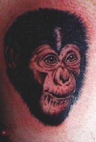 婴儿大猩猩头像纹身图案