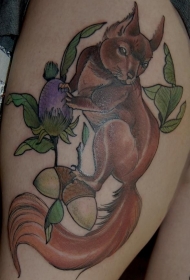 大腿彩色的松鼠和坚果树枝纹身图案