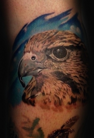 优雅的彩色写实鹰头手臂纹身图案