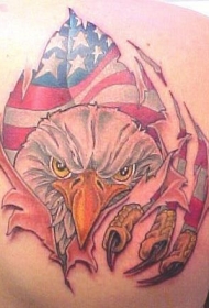 美国国旗和鹰彩色撕皮背部纹身图案