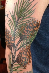 手臂难以置信的写实松树枝与松果纹身图案