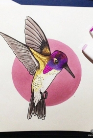 欧美蜂鸟彩色纹身图案手稿