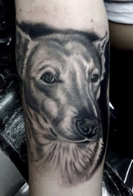 手臂可爱的黑白3D逼真狗头像纹身图案