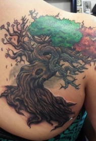 背部3D风格的天然彩色大树纹身图案