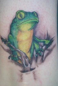青蛙彩绘脚踝纹身图案