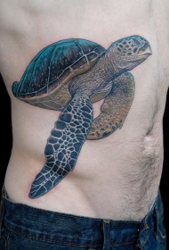 侧肋彩色逼真的乌龟纹身图案