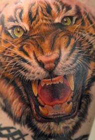 大臂写实的老虎彩色3D纹身图案