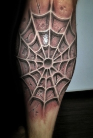 手臂令人难以置信的3D白色蜘蛛网纹身图案