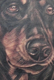 超现实的悲伤狗3D纹身图案