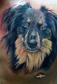 胸部3D逼真的自然彩色狗头像纹身图案