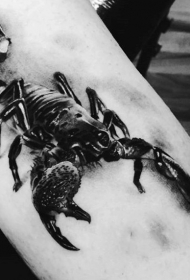 很棒的黑色逼真3D蝎子手臂纹身图案