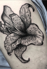 大臂欧美黑灰点刺花卉tattoo纹身图案