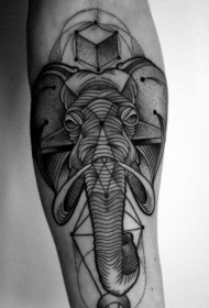 手臂黑色点刺大象头像纹身图案