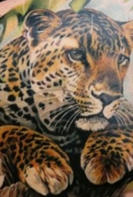 美丽的豹子彩绘背部纹身图案