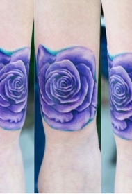 紫罗兰色的美丽玫瑰手臂纹身图案