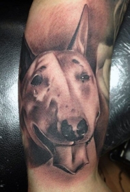 手臂逼真的彩色3D可爱狗头像纹身图案