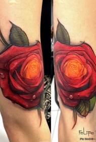 现代传统风格红玫瑰手臂纹身图案