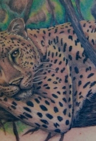 豹子躺在树上彩绘纹身图案