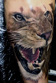 手臂写实风格的彩色狮子头纹身图案