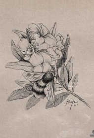 欧美蜜蜂和花朵纹身图案手稿