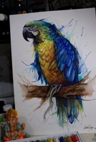 欧美彩色鹦鹉纹身图案手稿